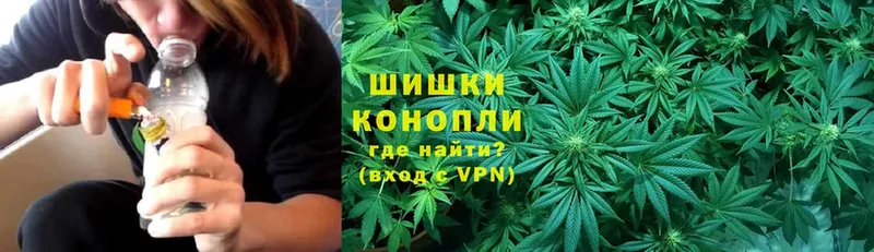 Бошки Шишки SATIVA & INDICA  купить наркоту  Зарайск 